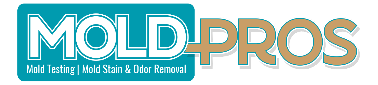 MoldPros Logo {{brizy_dc_image_alt imageSrc=